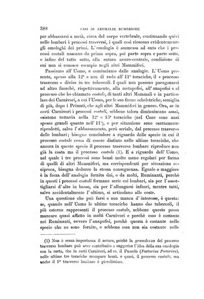 Archivio per l'antropologia e la etnologia