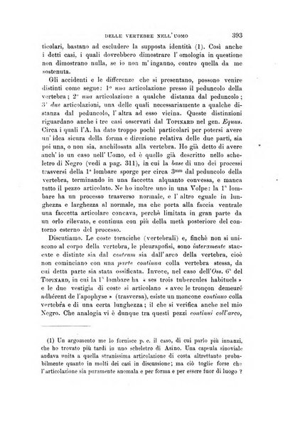 Archivio per l'antropologia e la etnologia