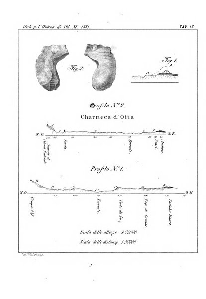 Archivio per l'antropologia e la etnologia