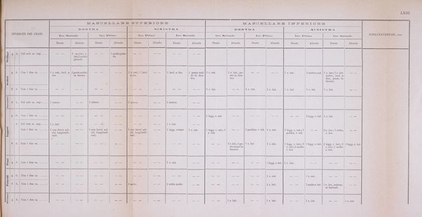 Archivio per l'antropologia e la etnologia