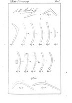 giornale/RAV0099383/1886/unico/00000121