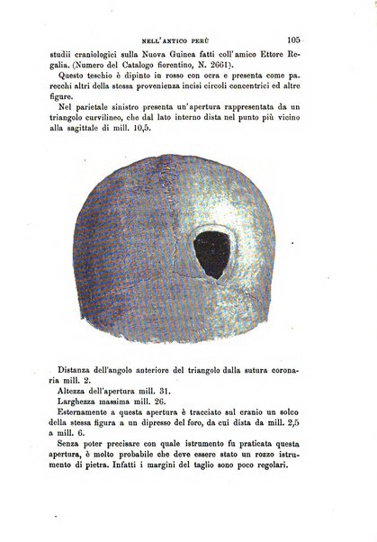 Archivio per l'antropologia e la etnologia