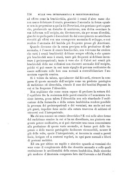 Archivio per l'antropologia e la etnologia