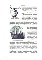 giornale/RAV0099383/1888/unico/00000268