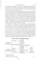 giornale/RAV0099383/1889/unico/00000385