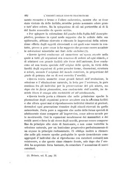 Archivio per l'antropologia e la etnologia