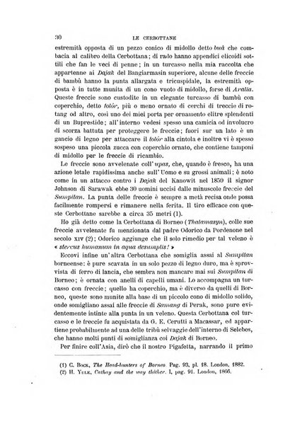 Archivio per l'antropologia e la etnologia