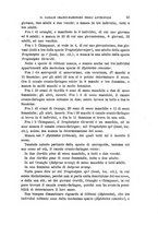 giornale/RAV0099383/1891/unico/00000065