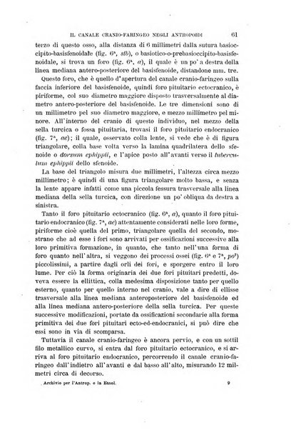 Archivio per l'antropologia e la etnologia