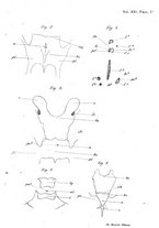 giornale/RAV0099383/1891/unico/00000077