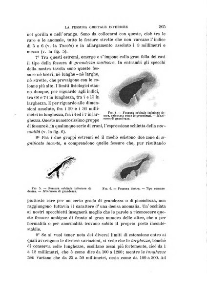 Archivio per l'antropologia e la etnologia