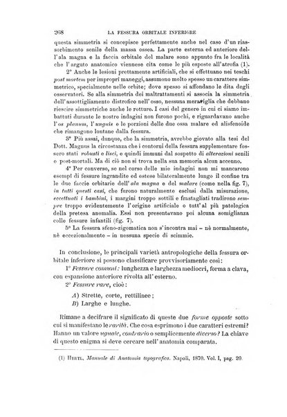 Archivio per l'antropologia e la etnologia