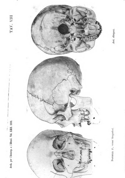 Archivio per l'antropologia e la etnologia