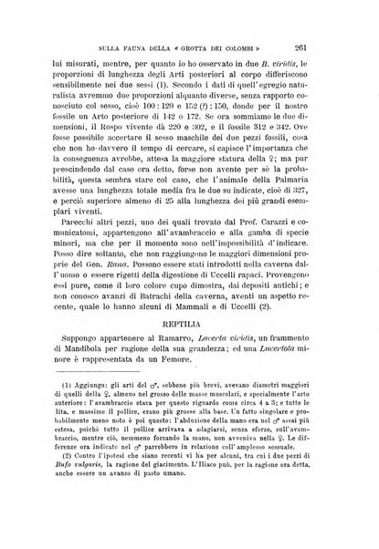 Archivio per l'antropologia e la etnologia