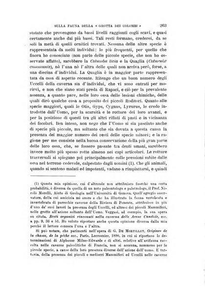 Archivio per l'antropologia e la etnologia