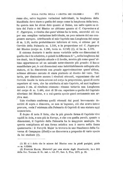 Archivio per l'antropologia e la etnologia