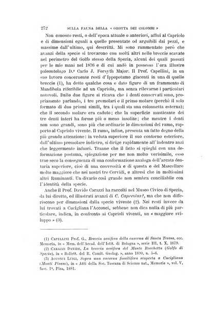 Archivio per l'antropologia e la etnologia