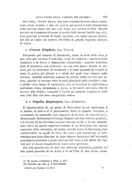 Archivio per l'antropologia e la etnologia