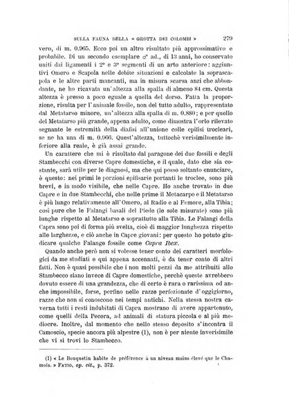 Archivio per l'antropologia e la etnologia