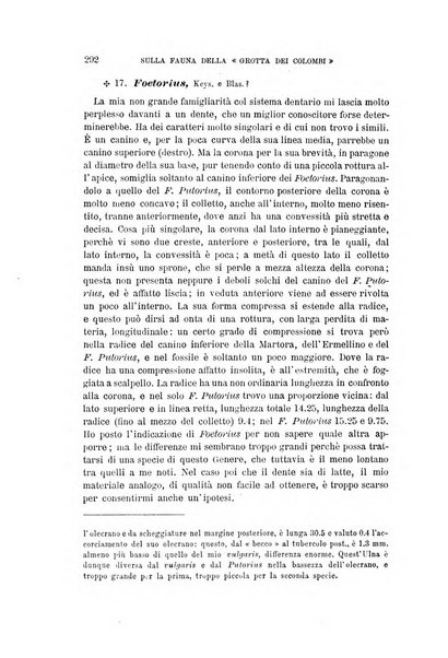 Archivio per l'antropologia e la etnologia