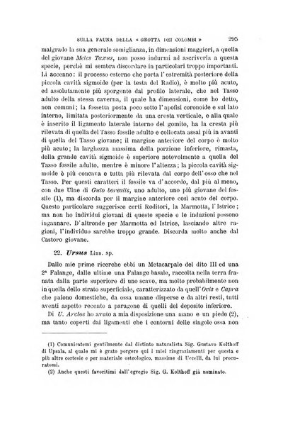 Archivio per l'antropologia e la etnologia