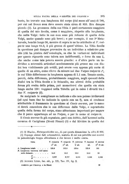 Archivio per l'antropologia e la etnologia