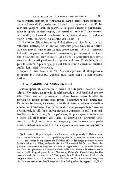 Archivio per l'antropologia e la etnologia