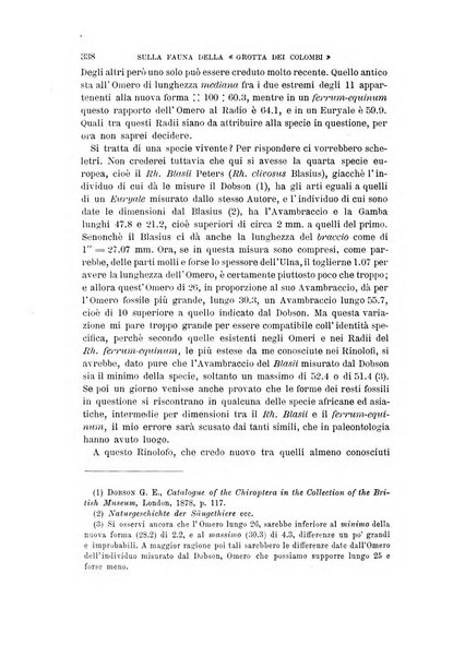 Archivio per l'antropologia e la etnologia