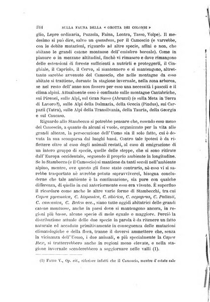 Archivio per l'antropologia e la etnologia