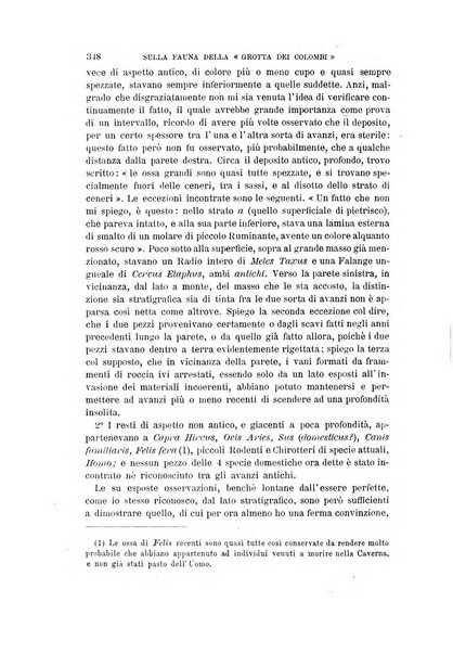 Archivio per l'antropologia e la etnologia