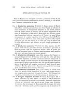 giornale/RAV0099383/1893/unico/00000382