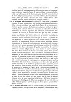 giornale/RAV0099383/1893/unico/00000383