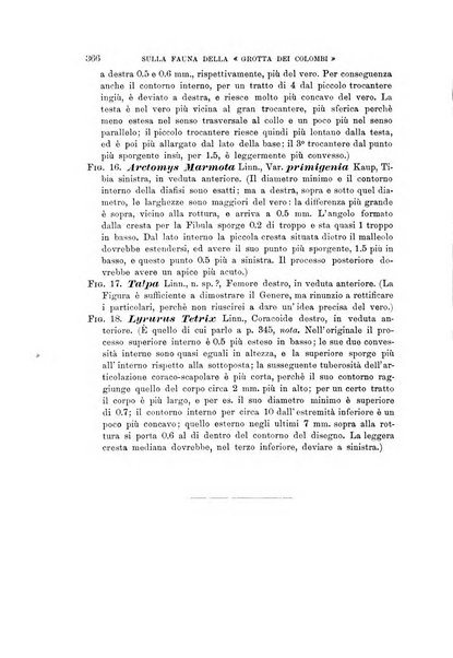 Archivio per l'antropologia e la etnologia