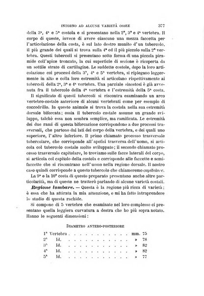 Archivio per l'antropologia e la etnologia