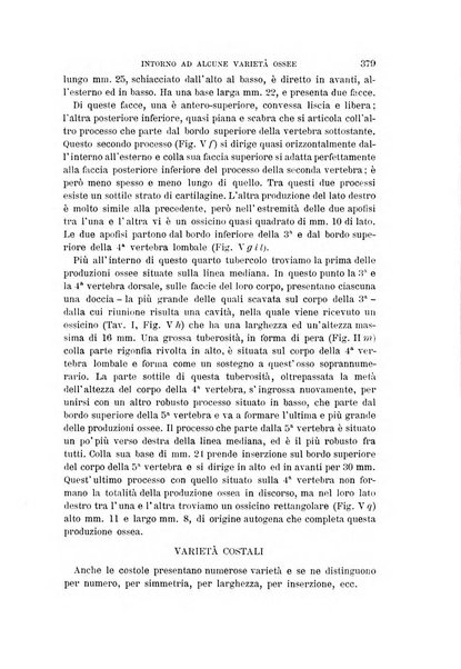 Archivio per l'antropologia e la etnologia