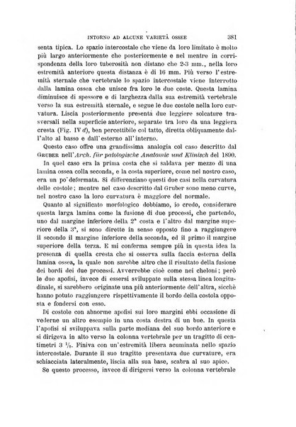 Archivio per l'antropologia e la etnologia