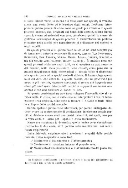 Archivio per l'antropologia e la etnologia