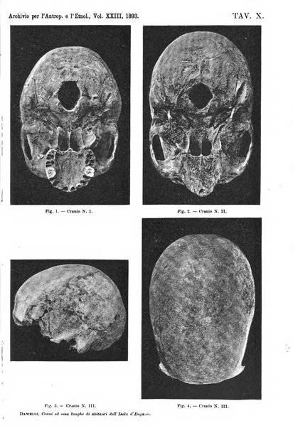 Archivio per l'antropologia e la etnologia