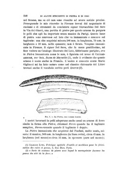 Archivio per l'antropologia e la etnologia