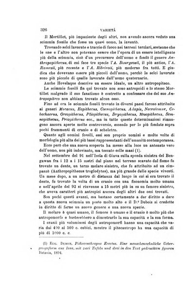 Archivio per l'antropologia e la etnologia