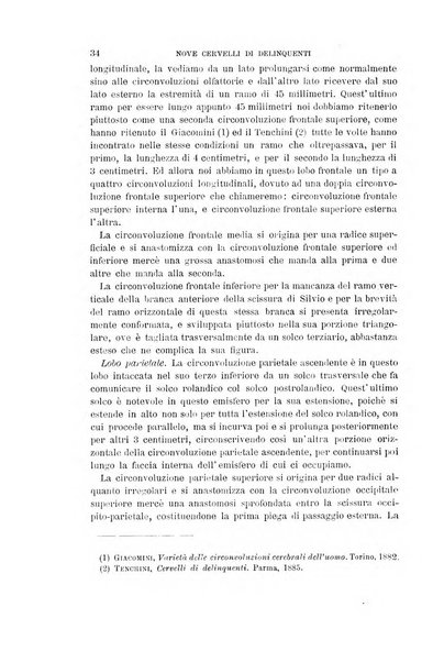 Archivio per l'antropologia e la etnologia