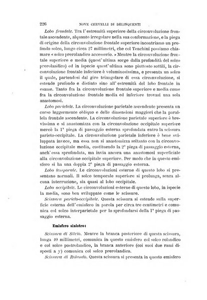 Archivio per l'antropologia e la etnologia