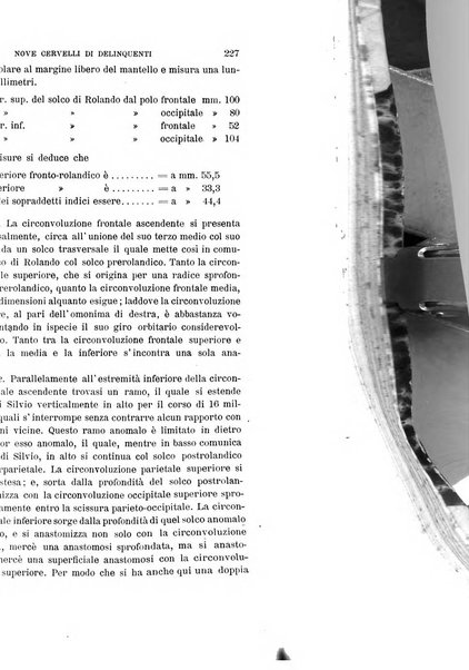 Archivio per l'antropologia e la etnologia