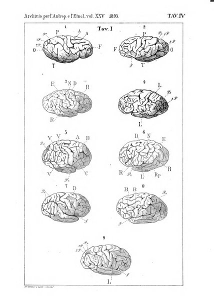 Archivio per l'antropologia e la etnologia