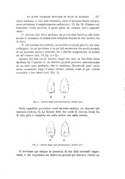 Archivio per l'antropologia e la etnologia