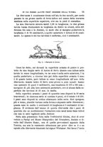 giornale/RAV0099383/1896/unico/00000069