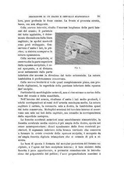 Archivio per l'antropologia e la etnologia