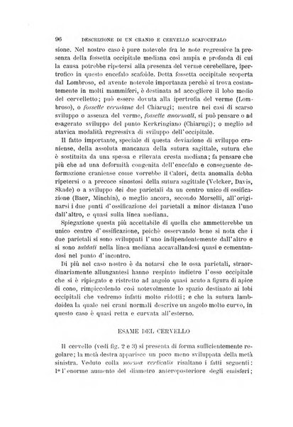 Archivio per l'antropologia e la etnologia