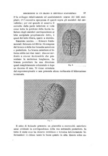 Archivio per l'antropologia e la etnologia