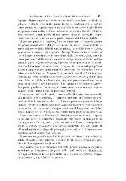 Archivio per l'antropologia e la etnologia